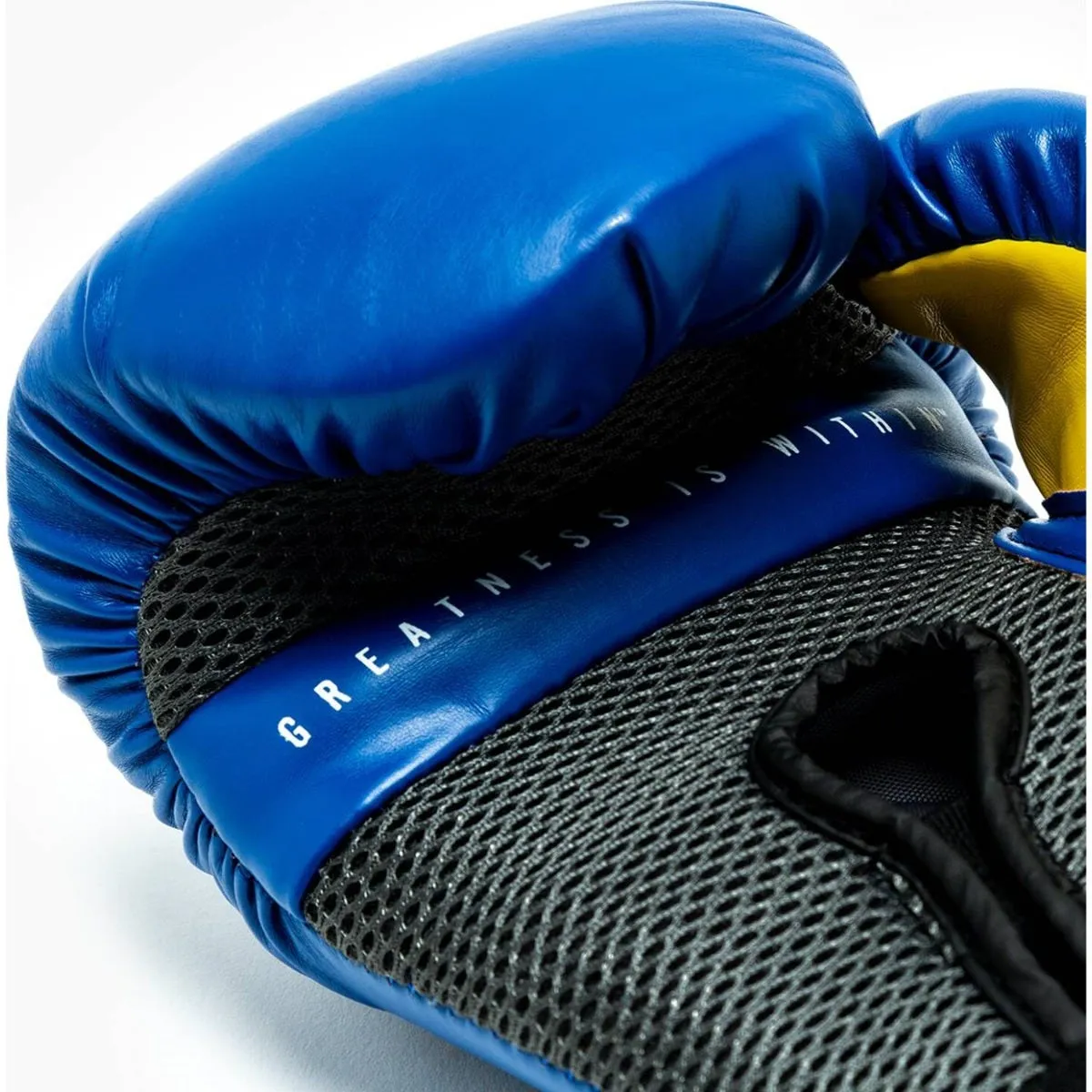 Guantes Boxeo Everlast Elite Pro Style v2 Training Azul